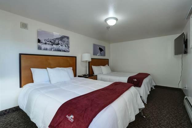 Puffin Inn - image 2
