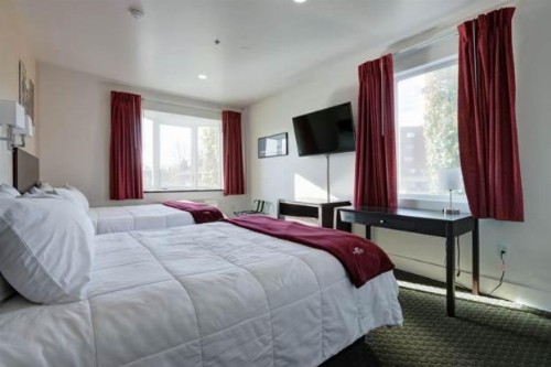 Puffin Inn - image 3