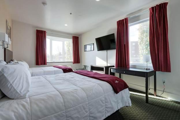 Puffin Inn - image 3
