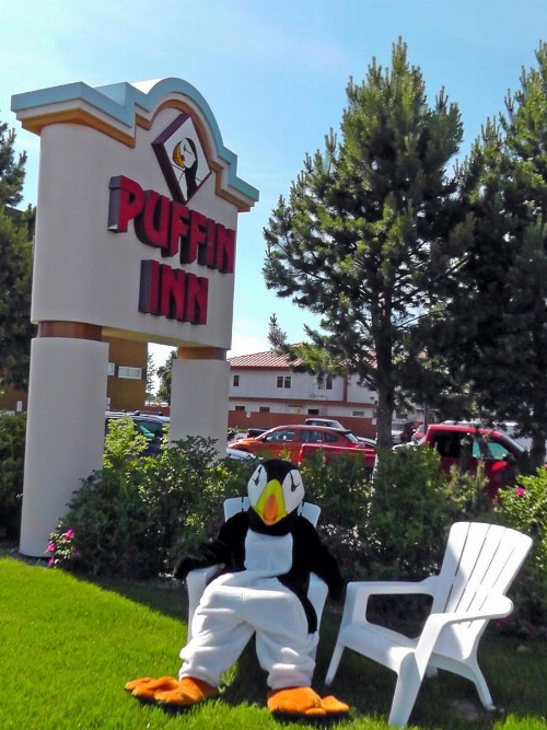 Puffin Inn - image 36