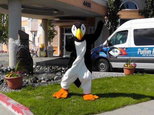 Puffin Inn - image 37
