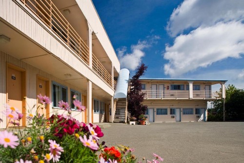 Puffin Inn - image 41