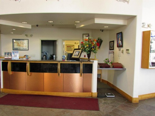 Puffin Inn - image 45