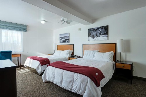 Puffin Inn - image 50
