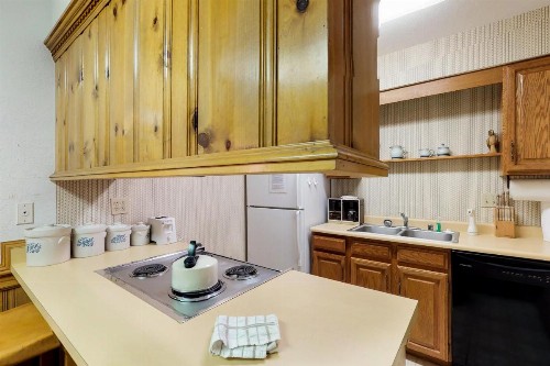 Snowfire 208B - image 9
