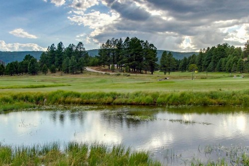 Gold Creek 208 - image 3