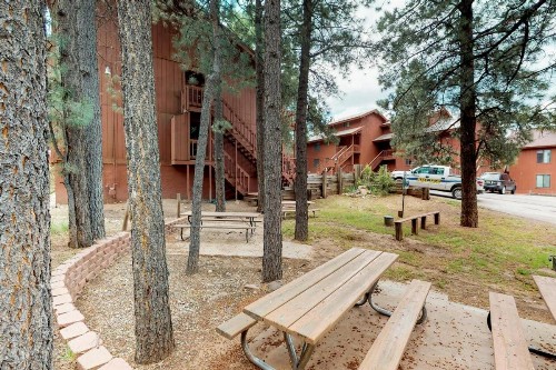 Angel Fire Chalet 58 - image 7