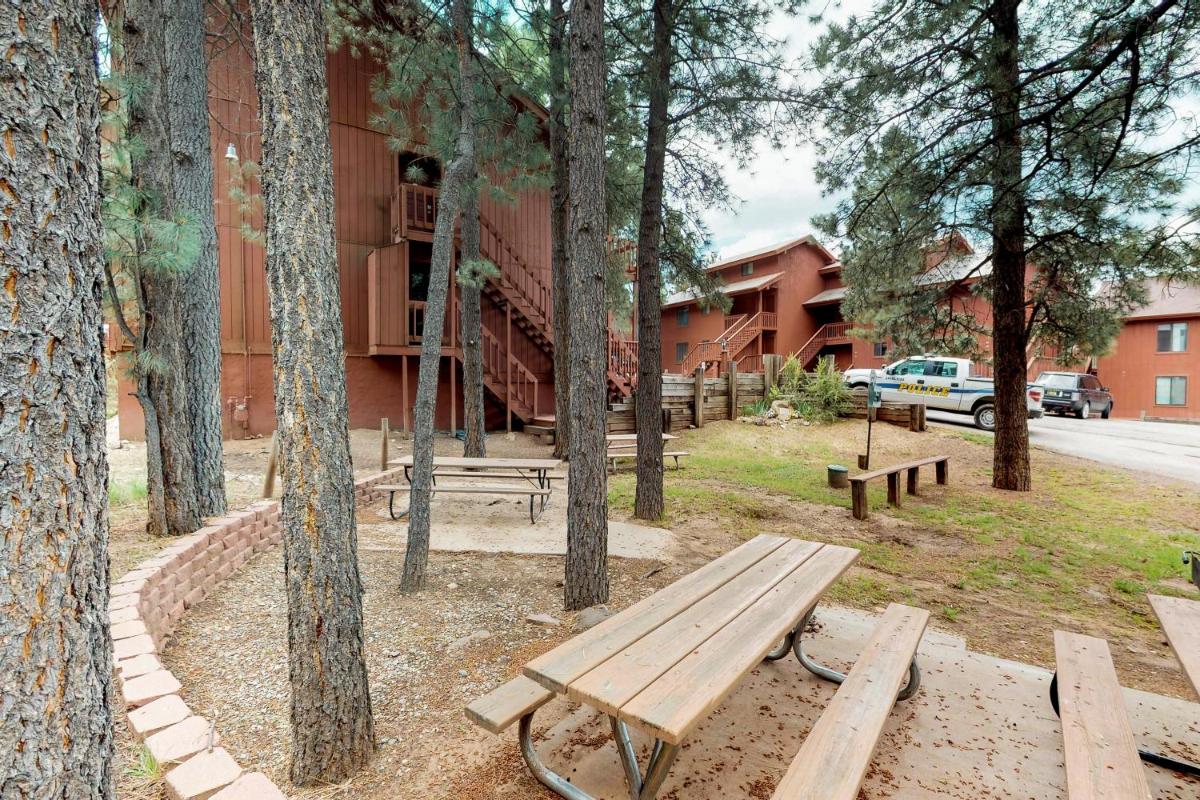 Angel Fire Chalet 58 - image 7
