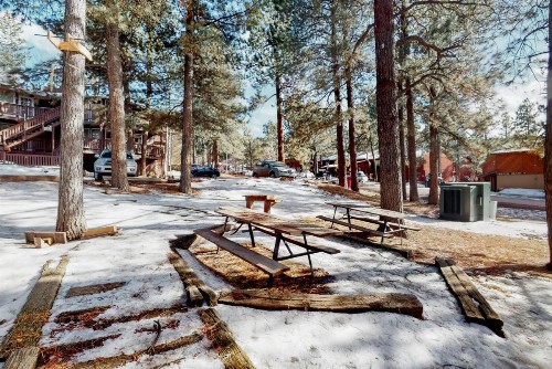 Redwood Commons B12 - image 11
