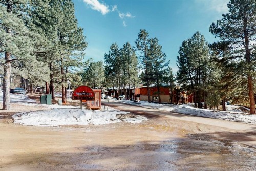 Redwood Commons B12 - image 9