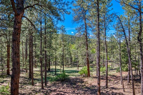 Tschirtart Cabin - 4 Bed 2 Bath Vacation home in Angel Fire - image 10