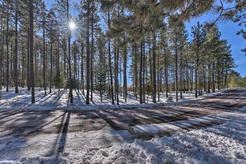 Cabin Less Than 3 Miles to Golf Lake Angel Fire Ski Area - image 12