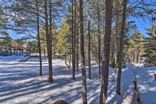 Cabin Less Than 3 Miles to Golf Lake Angel Fire Ski Area - image 9