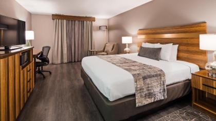 Best Western Cedar Inn & Suites - image 11