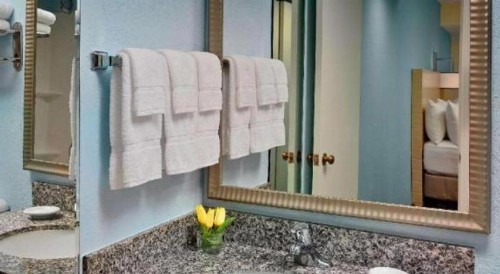 Sonesta ES Suites Ann Arbor - image 24