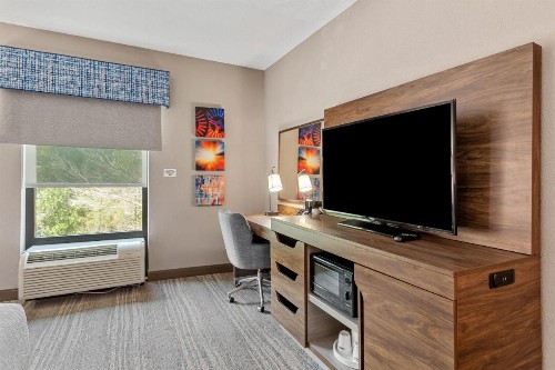 Hampton Inn & Suites Orlando-Apopka - image 29