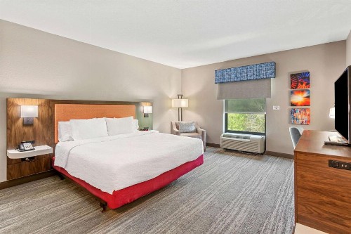 Hampton Inn & Suites Orlando-Apopka - image 35