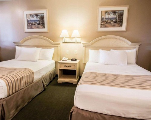 Rodeway Inn Apopka - image 13