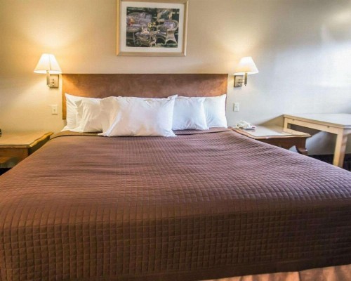 Rodeway Inn Apopka - image 19
