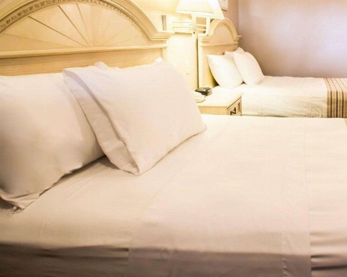 Rodeway Inn Apopka - image 22