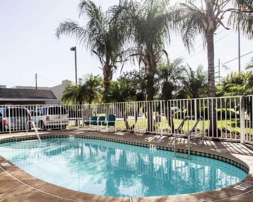 Rodeway Inn Apopka - image 3