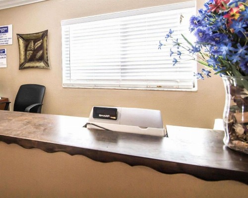 Rodeway Inn Apopka - image 5