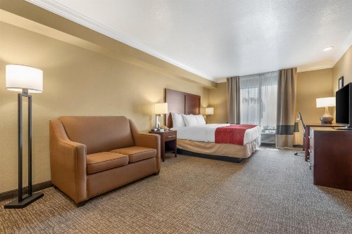 Comfort Inn Arcata - image 2