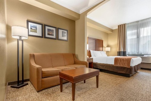 Comfort Inn Arcata - image 42