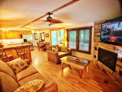 Asheville River Cabins - All with River views - image 2