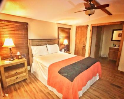 Asheville River Cabins - All with River views - image 3