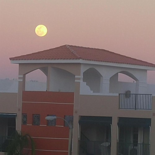 Oceanía - image 2