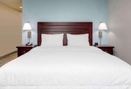 Hampton Inn & Suites Dallas-Arlington-South - image 32