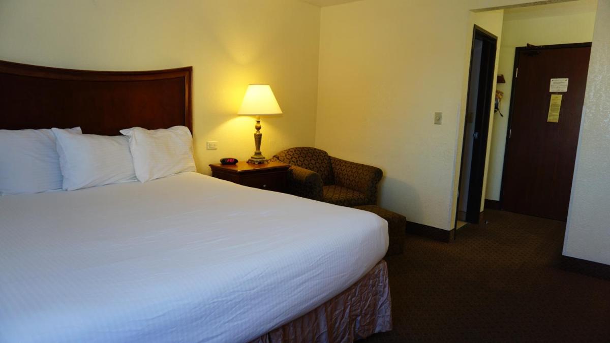 Baymont by Wyndham Arlington At Six Flags Dr - image 4