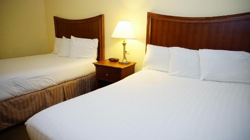Baymont by Wyndham Arlington At Six Flags Dr - image 43
