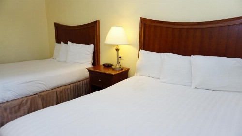 Baymont by Wyndham Arlington At Six Flags Dr - image 8