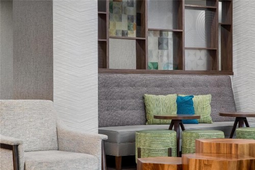Hampton Inn & Suites Dallas-Arlington North-Entertainment District - image 10