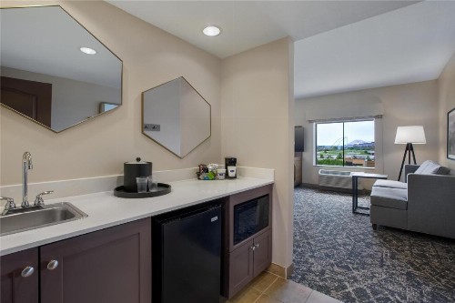 Hampton Inn & Suites Dallas-Arlington North-Entertainment District - image 38
