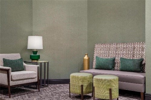 Hampton Inn & Suites Dallas-Arlington North-Entertainment District - image 40