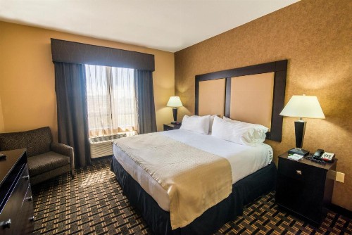 Holiday Inn Arlington Northeast an IHG Hotel - image 13