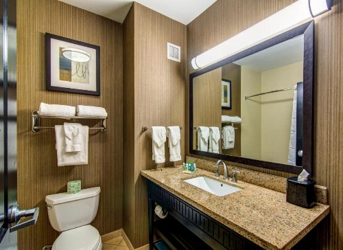 Holiday Inn Arlington Northeast an IHG Hotel - image 17