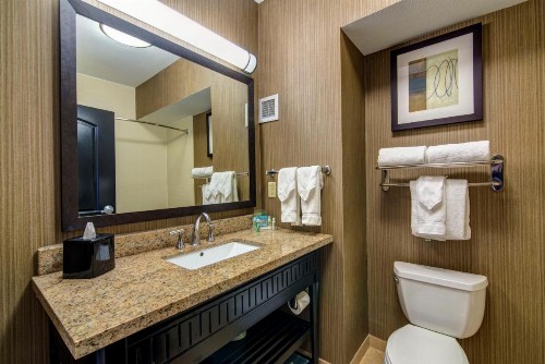 Holiday Inn Arlington Northeast an IHG Hotel - image 20