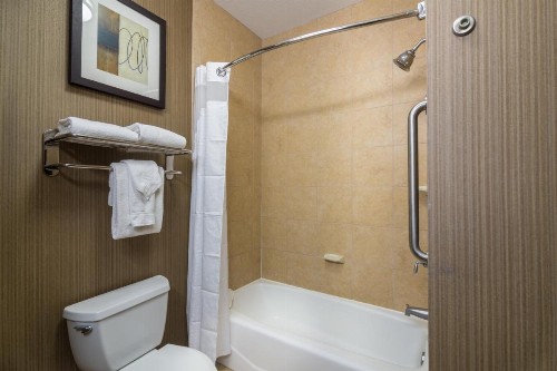 Holiday Inn Arlington Northeast an IHG Hotel - image 32