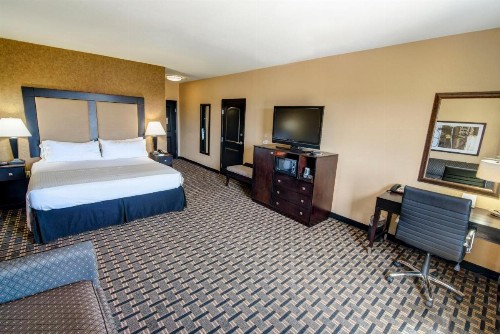 Holiday Inn Arlington Northeast an IHG Hotel - image 7