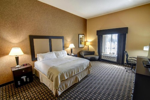 Holiday Inn Arlington Northeast an IHG Hotel - image 8