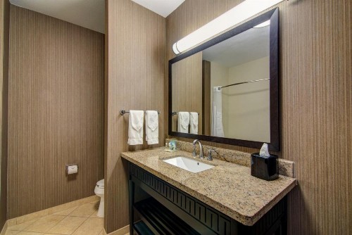 Holiday Inn Arlington Northeast an IHG Hotel - image 9