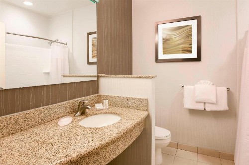 Courtyard by Marriott Dallas Arlington South - image 17