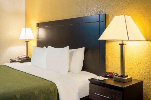 Quality Inn at Arlington Highlands - image 2