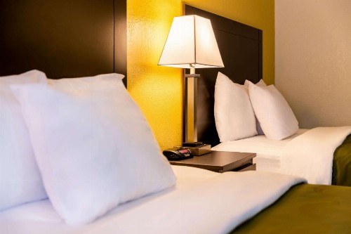 Quality Inn at Arlington Highlands - image 31