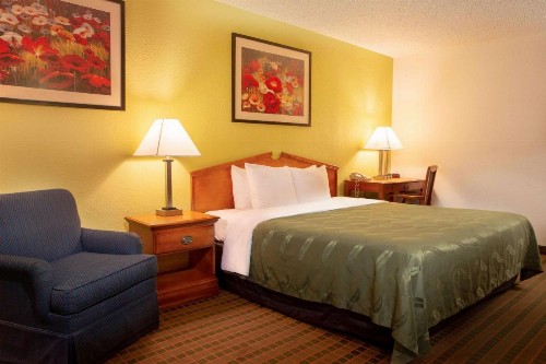 Quality Inn at Arlington Highlands - image 39