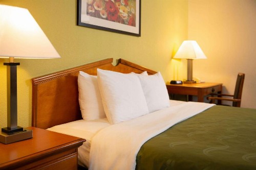 Quality Inn at Arlington Highlands - image 45